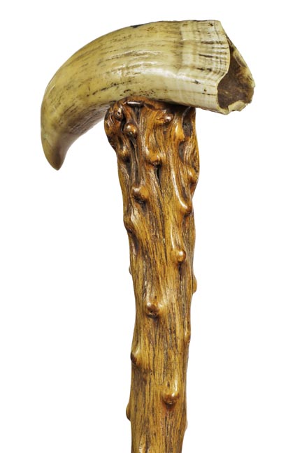 Auction of a 40 Year Cane Collection - 19_1.jpg
