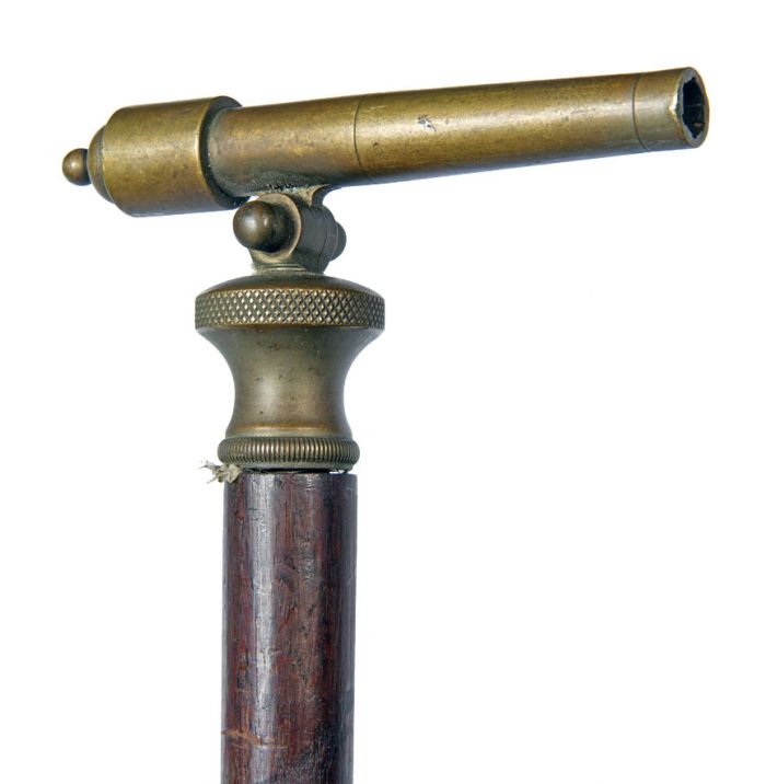 A Philadelphia Antique Curiosity Gun , Sword, and  Curiosa  Collection Estate Auction  - cannon_cane.jpg
