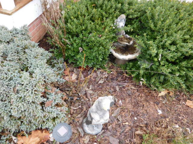 James D. Smith Estate from Blue Springs in Carter County- Auction in our Gallery - DSCN7843.JPG