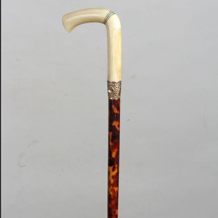 Antique Cane Auction - 10_1.jpg