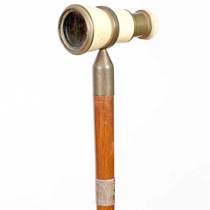 Antique Cane Auction - 26_1.jpg