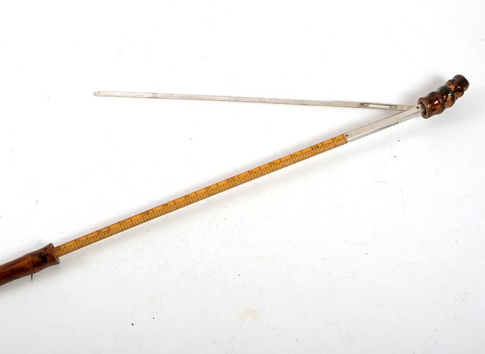 Antique Cane Auction - 45_1.jpg