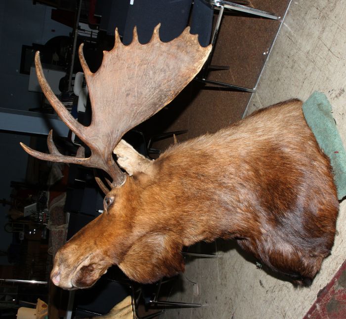 Annual Thanksgiving Auction - 0303.jpg