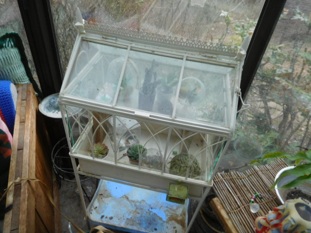 Teegarden Absolute Estate Auction Bristol - DSCN9951.JPG