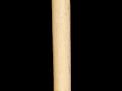 Antique and Quality Modern Cane Auction - 10b.jpg