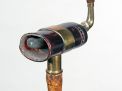 Antique Cane Auction - 217_1.jpg