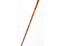 Antique Cane Auction - 31_1.jpg